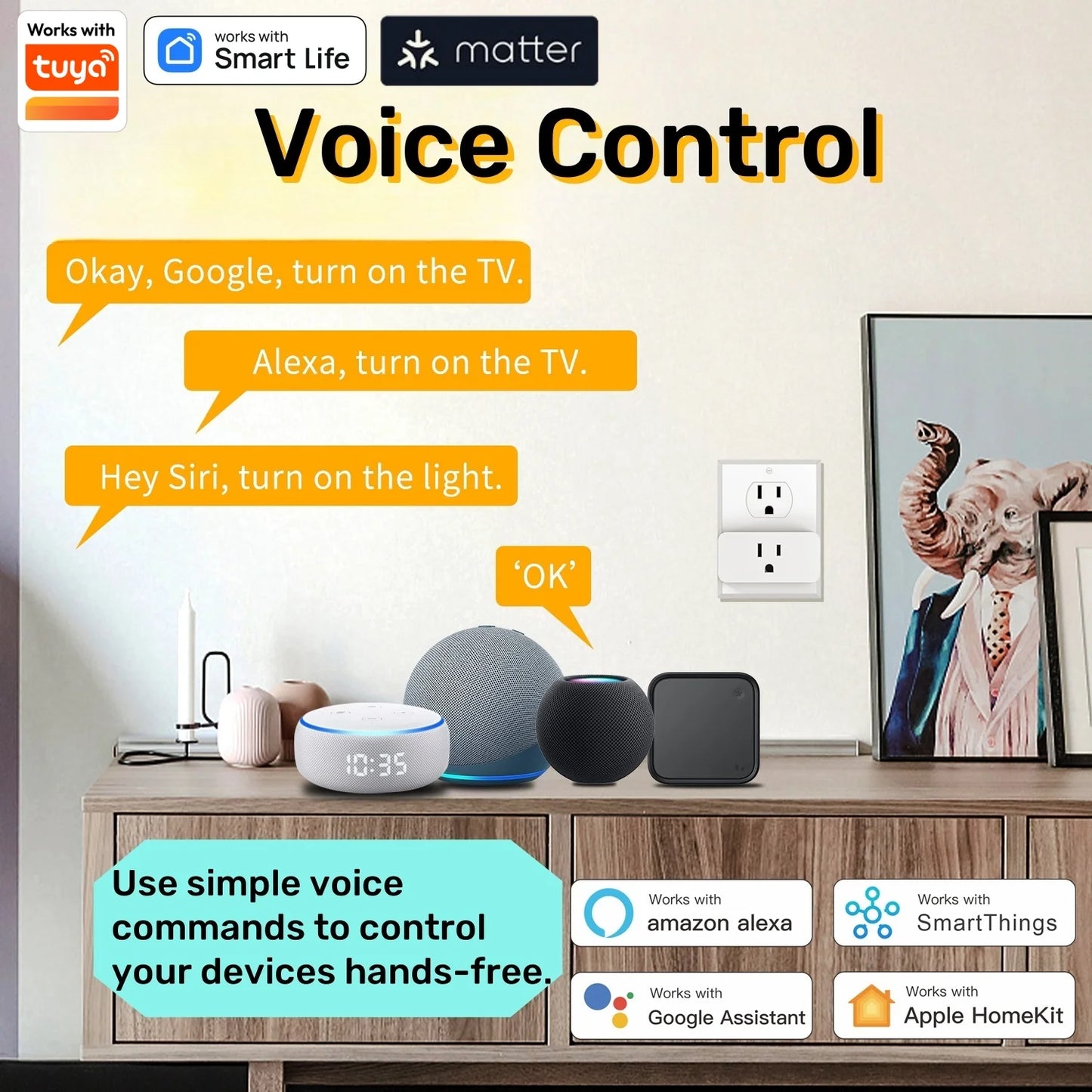 WiFi Mini Smart Socket (10A, US)