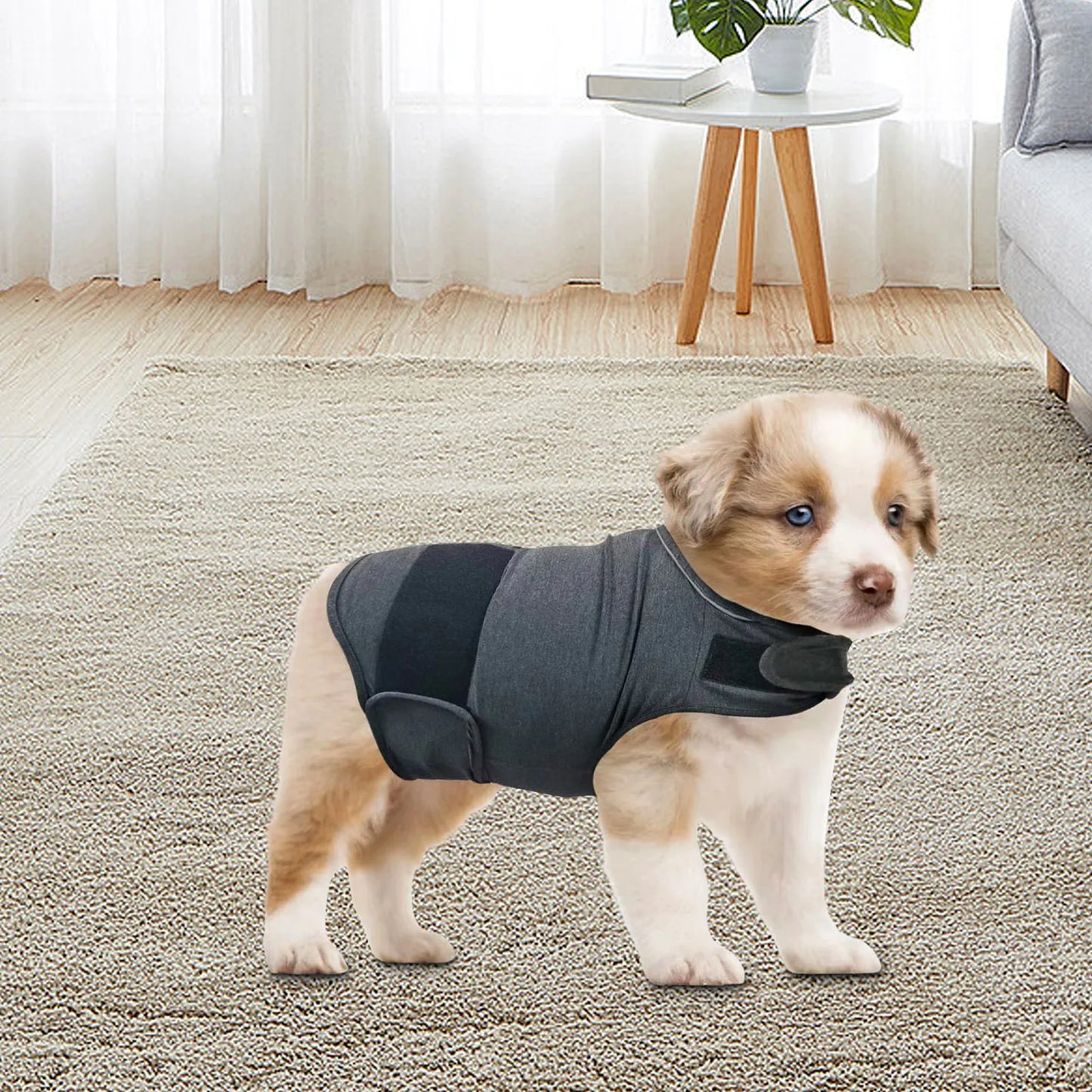Dog Calming Vest — Soothing Anti-Anxiety Wrap