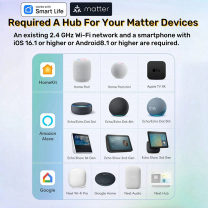 WiFi Mini Smart Socket (10A, US)