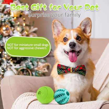 Interactive Dog Chew Balls — Treat Dispensing &amp; Dental Care Toy