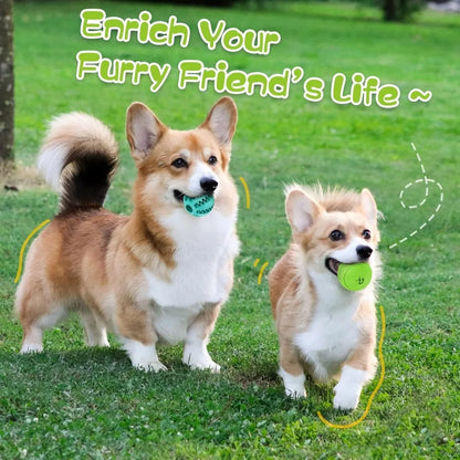 Interactive Dog Chew Balls — Treat Dispensing &amp; Dental Care Toy