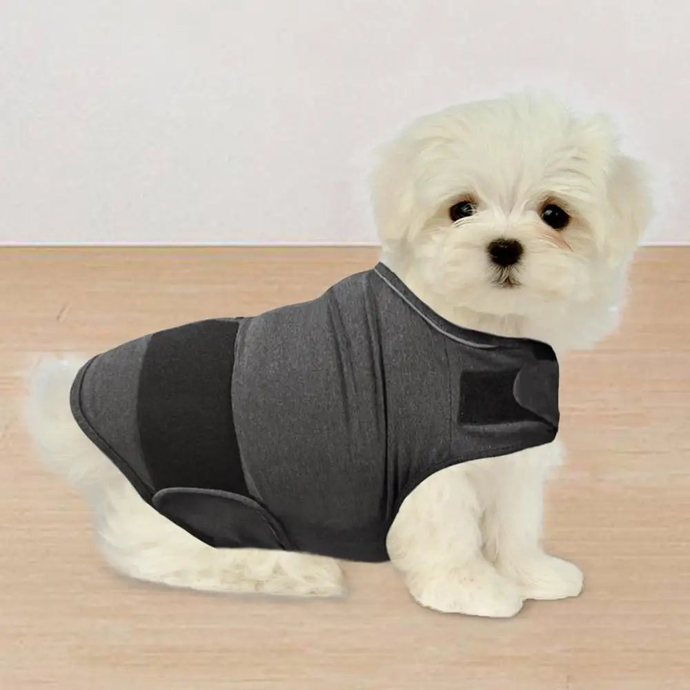 Dog Calming Vest — Soothing Anti-Anxiety Wrap